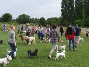 Pack Walk Northampton