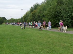 Pack Walk Northampton