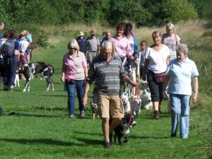 Pack Walk Northampton