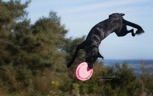 Ruby Welsford & Betsy