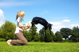 Betsy & Ruby Disc Dog