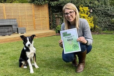 Border Collie Dog Training Class